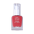 House of HUR Moist Ampoule Blusher #Deep Plum